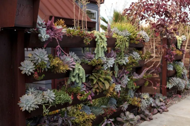 vertikalni-vrt-u-malom-vrtu