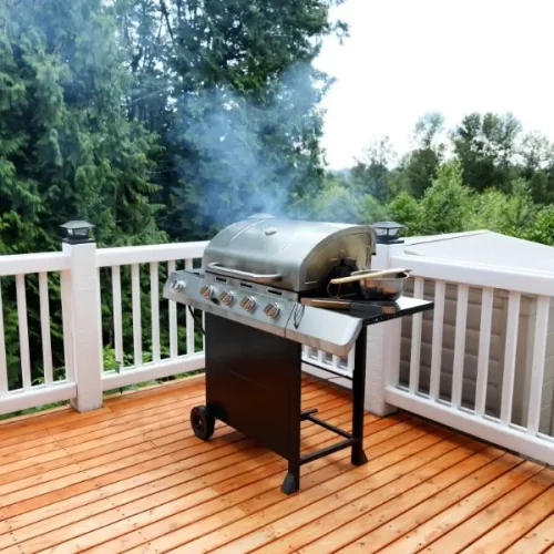 Plinski i roštilji na ugljen